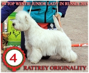 RATTREY  ORIGINALITY (Риджи)