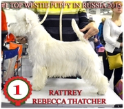 RATTREY REBECCA THATCHER (Бэкки)