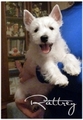 РАТТРЕЙ ГРЕЙТ ГУДВИН /Rattrey Great Goodwin